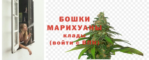 спиды Богданович
