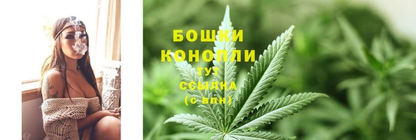 спиды Богданович