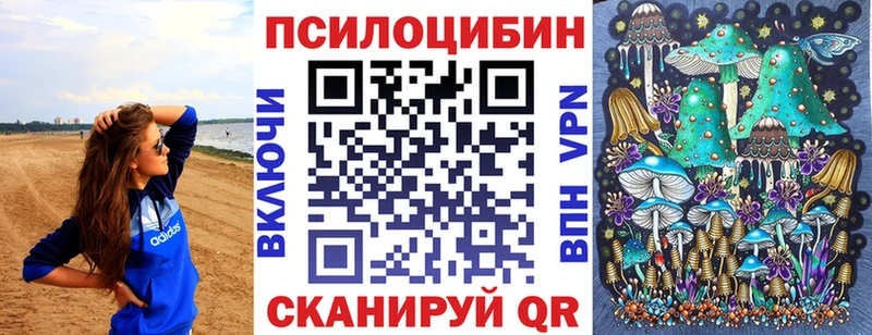 Галлюциногенные грибы GOLDEN TEACHER  цена наркотик  сайты даркнета Telegram  Котельники 